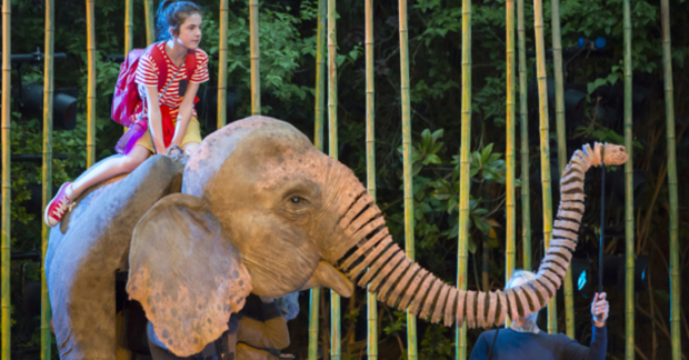 Ava Potter as Lilly with Oona the elephant in  Running Wild