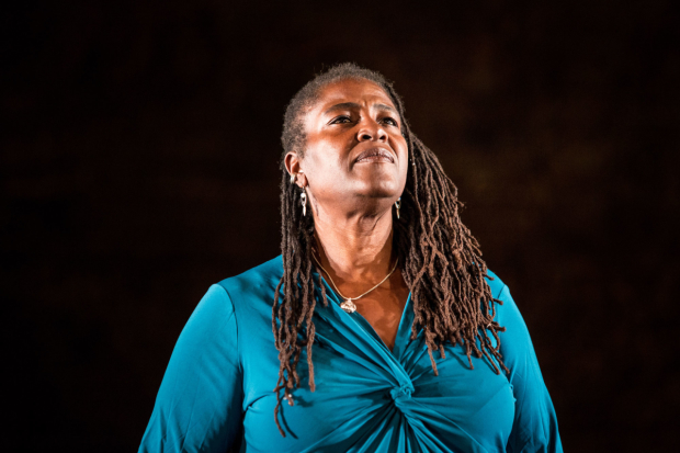 Sharon D Clarke in Pigs and Dogs at the Royal Court 
