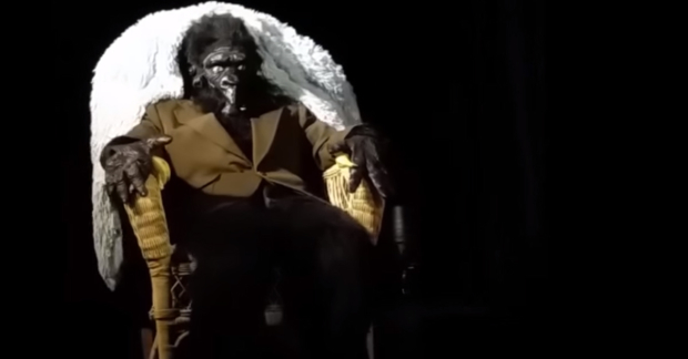 A Young Man Dressed as a Gorilla...