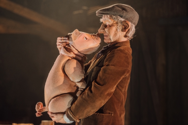 Babe and Ben Ingles (Farmer Hogget) in Babe, The Sheep-Pig
