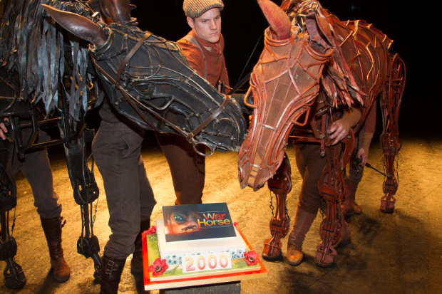Topthorn and Joey on stage to celebrate the 2000th London performance of War Horse at the New London Theatre in 2014
