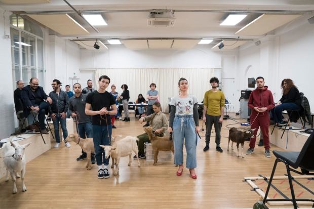 The cast of Goats in rehearsals