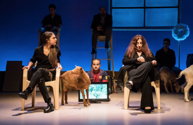 &#39;&quot;Goats&#39;&#39; at the Royal Court