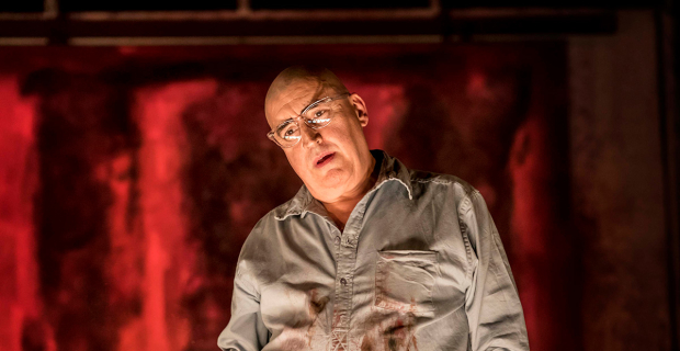  Alfred Molina (Mark Rothko) 