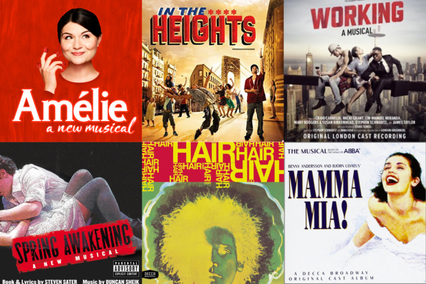 Amelie, In The Heights, Working, Spring Awakening, Hair and Mamma Mia!