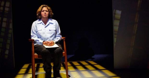 Anna Deavere Smith in Notes From the Field