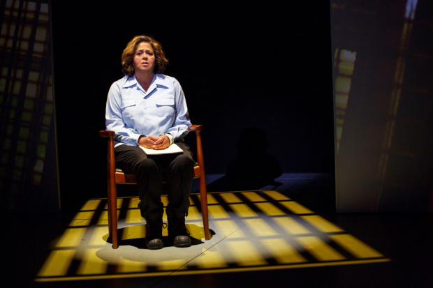 Anna Deavere Smith in Notes from the Field