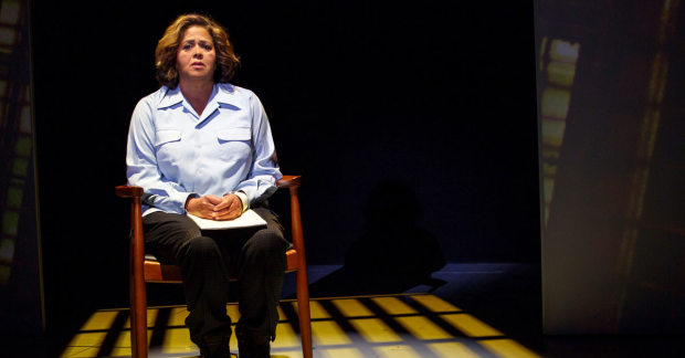 Anna Deavere Smith in Notes from the Field&#39;&#39;