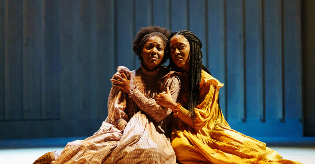 T&#39;Shan Williams (Celie) and Danielle Fiamanya (Nettie) in The Color Purple