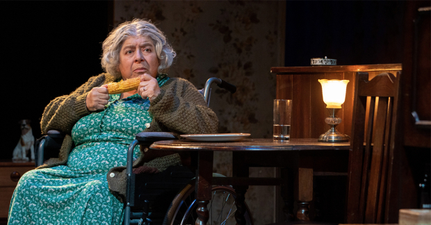 Miriam Margolyes in Sydney and the Old Girl