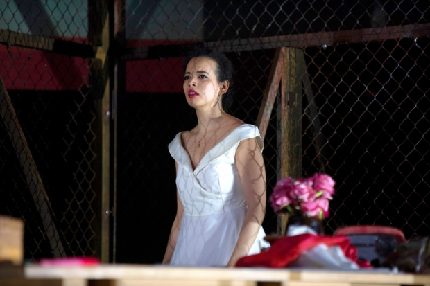 Adriana Ivelisse as Maria