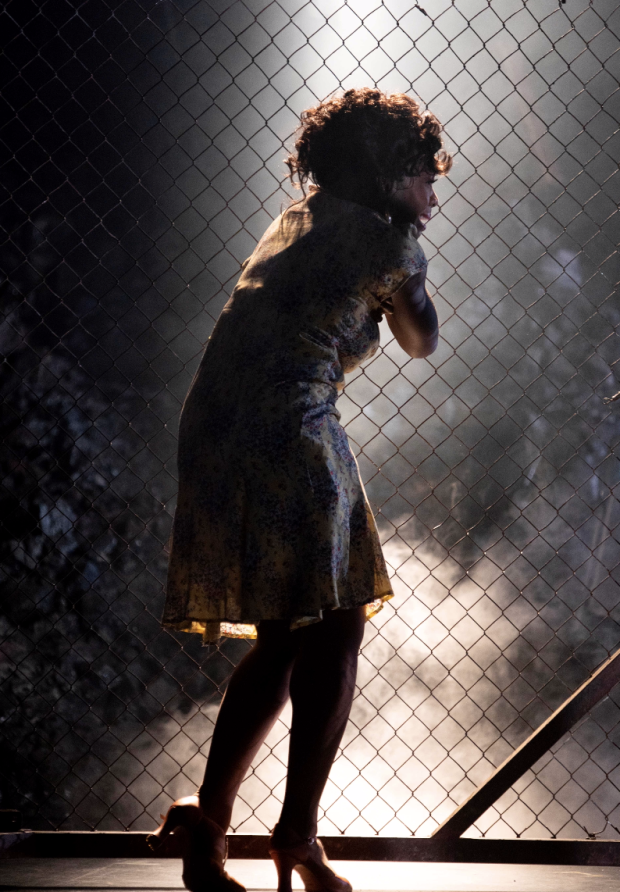 Carly Mercedes Dyer as Anita