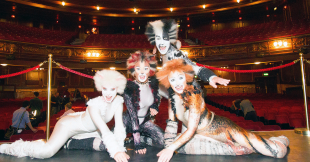 Cats cast members dressed as cats