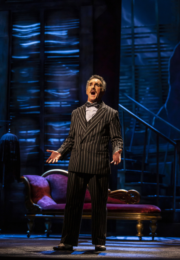 Cameron Blakely as Gomez Addams