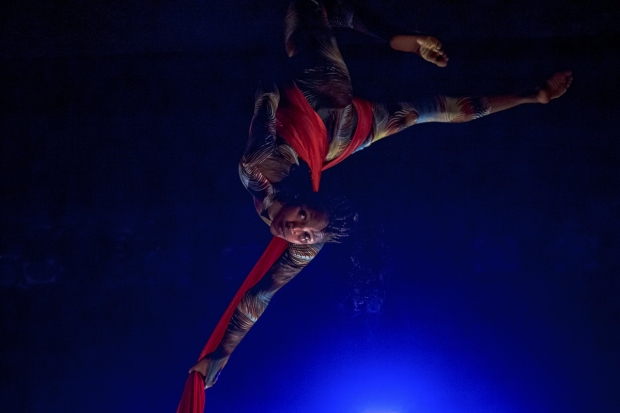 Circus Abyssinia will appear at the Rose Theatre