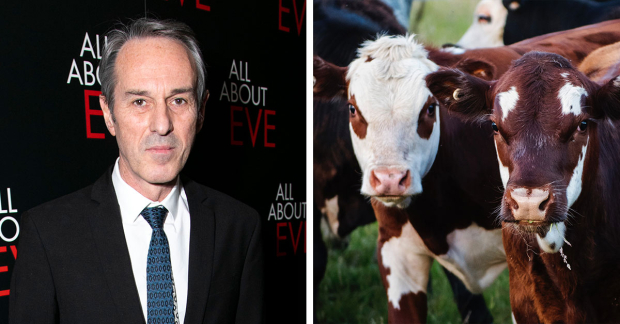 Director Ivo van Hove and two cows