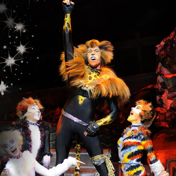 Oliver Savile as Rum Tum Tugger in the 2013 UK tour