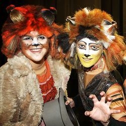 Stage Experience present Cats