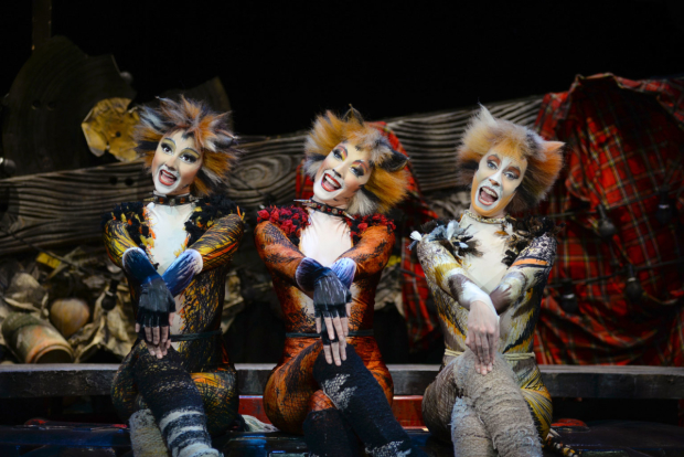 Zizi Strallen, Charlene Ford and Clare Rickard in the first Palladium run of Cats